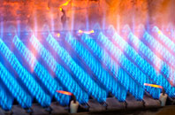 Druidston gas fired boilers